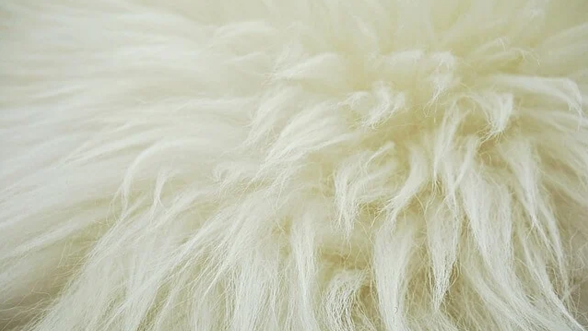 خواص فیزیکی پشم