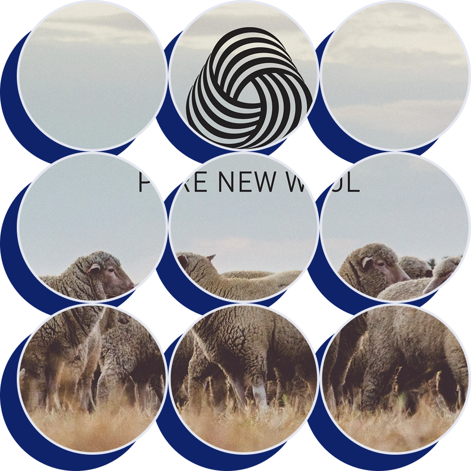 نهادهای بین‌المللی پشم