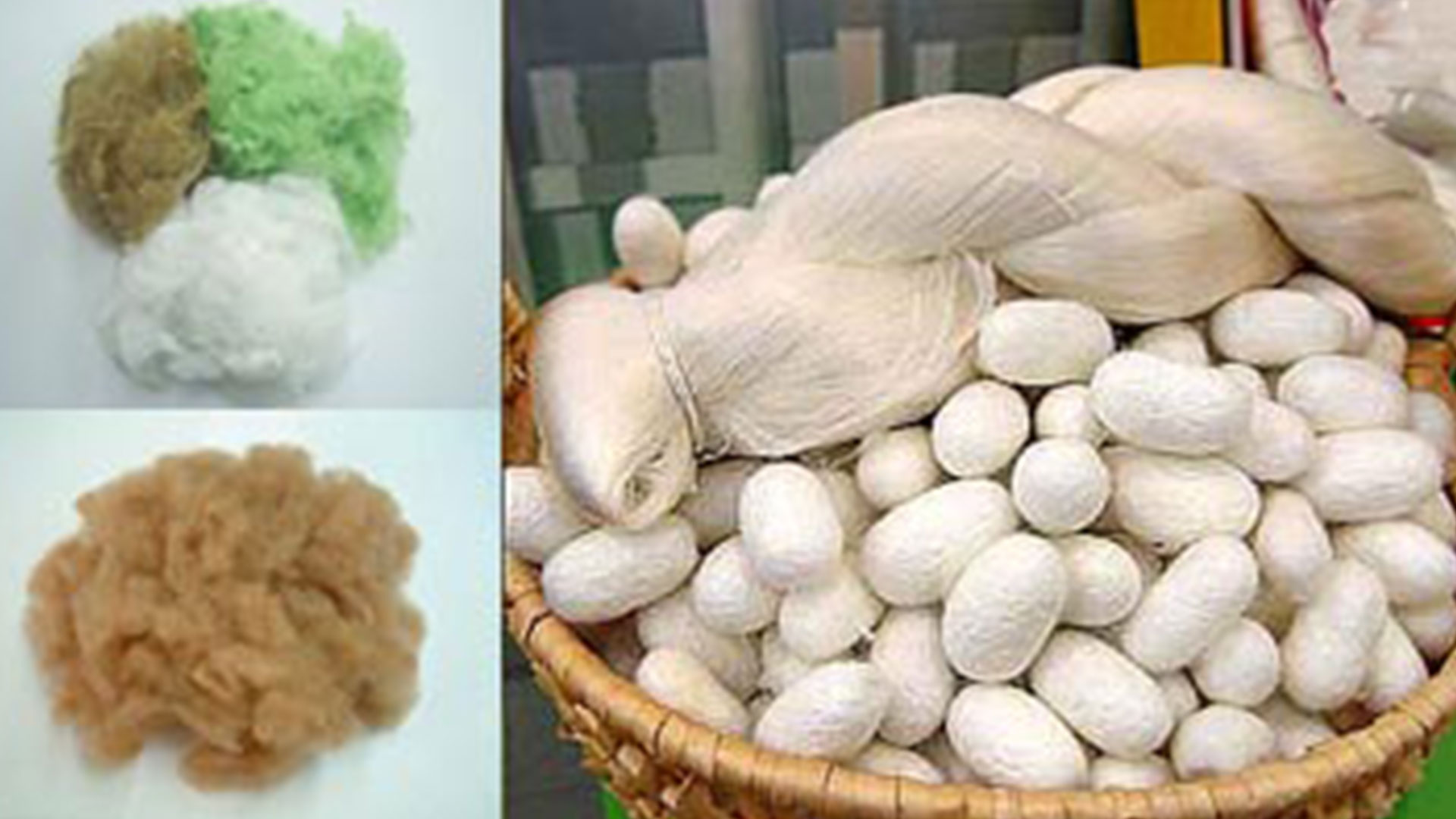 خواص شیمیایی پشم